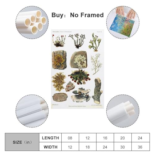 Samsung QE55S85FAU 139 7 cm 55 4K Ultra HD Smart TV Wifi Neuf - vue 5