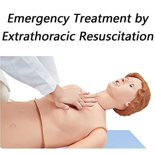MZBZYU Nursing Skills Training Manikin Patient Care Life Size 67inch Full Body Mannequin for Nursing Medical Training Teaching Education Medical Supplies,Female - Thumbnail 7
