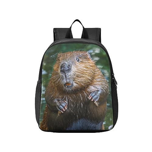 YOUJUNER Jungen Mädchen Schulrucksack Tier Biber Kinder Rucksack Sport Reise Schultasche Kinder Rucksack, 4-6 Jahre alt