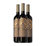 Guelbenzu Evo Vino de la Tierra Ribera del Queiles Crianza 75 cl Vino tinto (Caja de 3 Botellas de 75 cl)