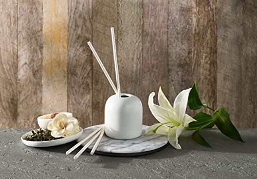 Westin Hotels - White Tea Scent Sticks - Aromatherapy Diffuser - Set of 5 Biodegradable, pre-Scented Rattan Reeds