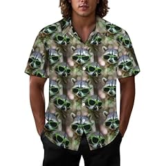 Cute Raccoon Sunglasses