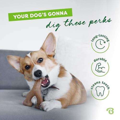 Benebone Indestructible Wishbone Dog Chew Toy For Aggressive Chewers, Long Lasting Tough Boredom Breaker For Dogs, Real Bacon Flavour, For Small Dogs, Made In The Usa - 3