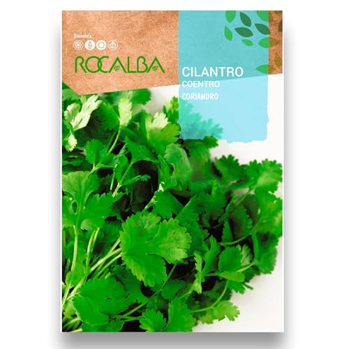 Semillas Cilantro o Perejil Árabe PROFESIONAL | Sobre 10 Gramos | Cultiva con tus semillas de Cilantro la mejor hierba aromática para tus platos | Producción Abundante | Rocalba | Nexum Market