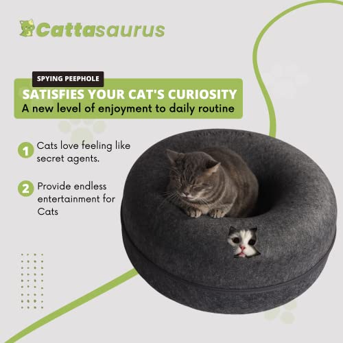 image for CATTASAURUS Peekaboo Cat Cave for Multiple & Large Cats Up to 30-45 Lb