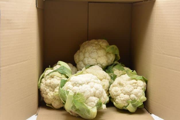 Cavolfiore Bianco 5 kg