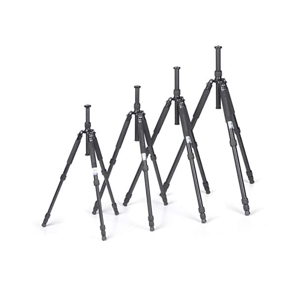 Tiltall TE-224 professionelles Kamerastativ (Höhe 140 cm) – Bild 3