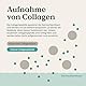 NATURE LOVE® Premium Collagen Pulver mit Hyaluronsäure und Elastin - 500g Kollagen - Peptide Type 1 und 3 - geschmacksneutral - Kollagen von Rindern aus Weidehaltung - laborgeprüft
