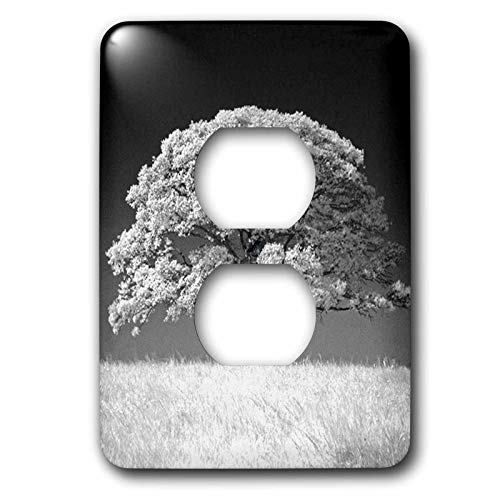 Grand chêne noir et blanc plaque de prise pour une ambiance nature au salon