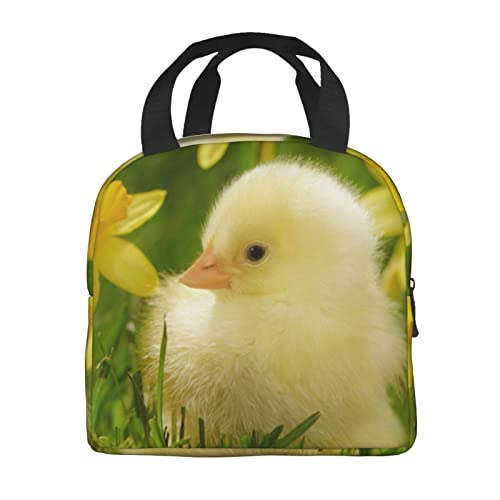 Debou Cute Baby Ducks Insulated Lunch Bag Cooler Tote Reusable Leakproof Lunch Box Easy Clean For Work Office Picnic Beach Or Travel #TOP2