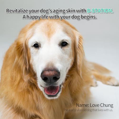 PDRN-Dog-Shampoo-Contains-Ingredients-Such-as-PDRN-and-Oatmeal-which-Help-Improve-Skin-Health-Moisturize-Relieve-Itching-Prevent-Odor-Provide-Shine-to-The-Coat-169-oz - Cucciolini Doodles   PDRN-Dog-Shampoo-Contains-Ingredients-Such-as-PDRN-and-Oatmeal-which-Help-Improve-Skin-Health-Moisturize-Relieve-Itching-Prevent-Odor-Provide-Shine-to-The-Coat-169-oz