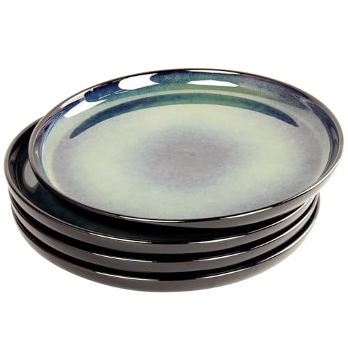 LIUYWYHCF Ceramic Salad Plates Set 9.8 inch Large Dinner Plates Set of 4, for Main course, steak, burger, Dessert, Serving Plate, Chip Resistant and Scratch Resistant, Microwave and Dishwasher Safe