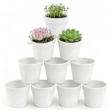 HongChelle 10 Stück Kleine Blumentöpfe Weiß, Pflanzentopf, bruchsichere Kunststoff Blumentopf, Flower Pot Ideal für Kaktus, Sukkulente, Blumen, Kräuter (ca. Ø 7 cm x Höhe 6 cm)