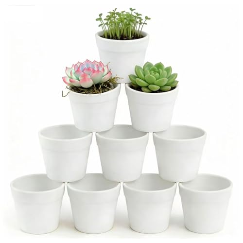 HongChelle 10 Stück Kleine Blumentöpfe Weiß Pflanzentopf bruchsichere Kunststoff Blumentopf Flower Pot Ideal für Kaktus Sukkulente Blumen Kräuter (Ø 7 cm x Höhe 6 cm)