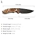 Regal Edge Knives Fixed Blade Knife – 9
