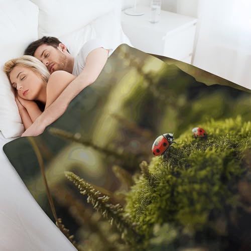 Couverture ultra douce coccinelle idée cadeau cocooning original - 4
