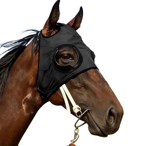 Ojeras para caballos, Ojeras de malla resistente a la arena | Manta ocular para caballos | para Establo Equitación Competición Entrenamiento Evento Velocidad Deportes Equinos
