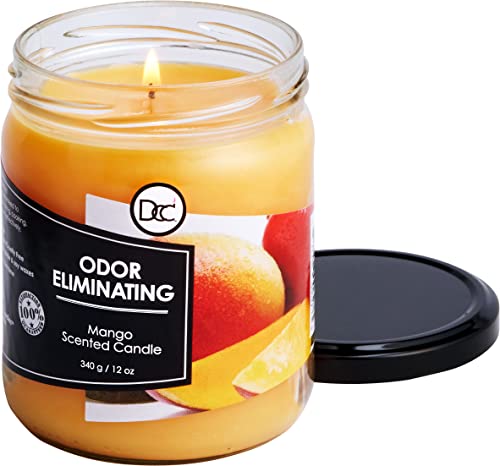Odor Eliminating Highly Fragranced Candle - Eliminates 95% Of Pet, Smoke, Food, And Other Smells Quickly - Up To 80 Hour Burn Time - 12 Ounce Premium Soy Blend (Mango) #TOP2