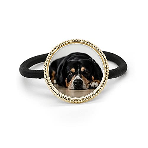 Accessoire pour cheveux en métal argenté et élastique pour chien