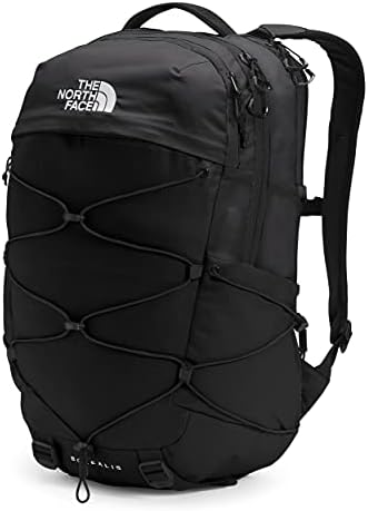 north face backpack borealis