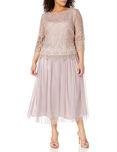 Alex Evenings womens Plus Size Chiffon Mock Special Occasion Dress, Rose, 24 Plus