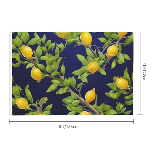 Drapeau maison avec oeillets grand format pour intérieur extérieur - 2
