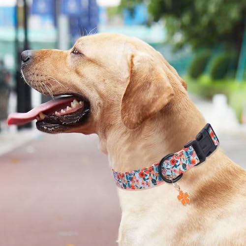 Collar Ajustable para Perros con Estampado de Flores miniatura 5