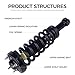 PAROD Pair 171362 Shock Absorber Strut Fit for 2004-2008 Ford F-150, 2006-2008 Lincoln Mark LT Front w/Coil Spring Assembly Passenger&Drive Side