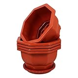 Pots pour plantes succulentes : éclatant de ces pots met en valeur vos bonsaïs et en fait la pièce maîtresse de n’importe quelle pièce ou jardin