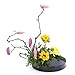 Inzopo Round Container Flower Bonsai Pot Vase Suiban Ikebana Plastic - Black 28cm, as described