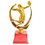 Sports Award Trophy with Gold-Plated Figure, Premium Red Fiber Base, Can be Used for Basketball, Handball, Volleyball, Dotch Ball, Logo Printing, Writings & Customisation Available (Set of 1)