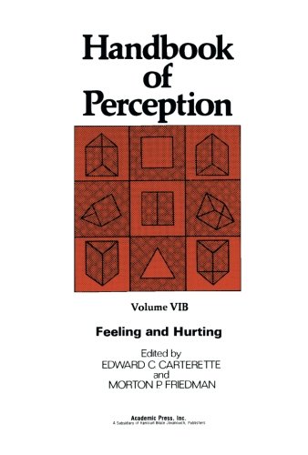 Preisvergleich Produktbild Feeling and Hurting, Handbook of Perception: Volume VIB
