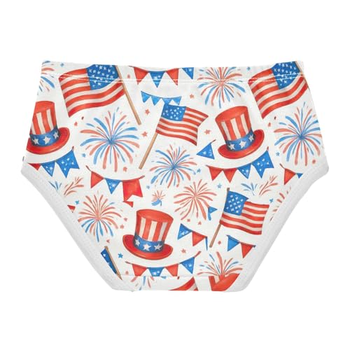 Joisal Toddlers Underwear Floral 2t Cotton Girl Panties Cute Fun Briefs Undies Kids American Flags White Cartoon2