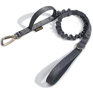 EXCELLENTE ELITE SPANKER - Guinzaglio Tattico Militare per Cani con Clip in Alluminio, Corda Elastica e 2 Maniglie di Controllo (GRY)
 - immagine 3