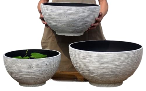 BQQB _J A  r   vX`bN ^Aؔ _J  ̖͑ @ y ɂ  O A rIg[v e  @ ^ O (L:45*43.5*23CM,NH[czCg)