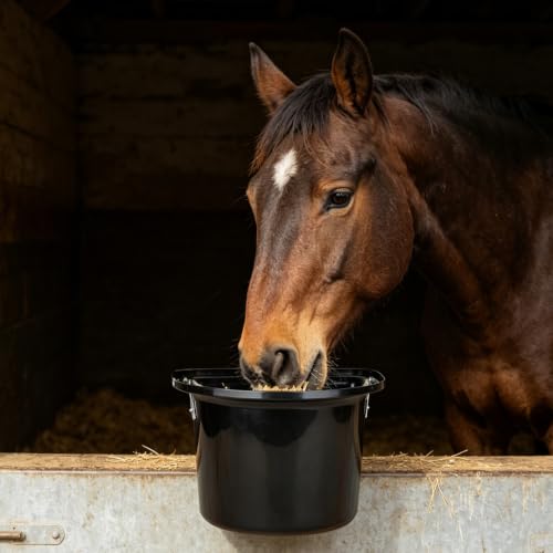 Cubo semicircular en forma de D para caballos antivuelco 4