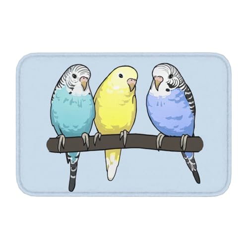 փ}bg  O ZLZCCR  ~ 􂦂 ӂӂ z hL ϋv   k 40×60cm