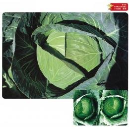 �L���x�c �� YR�⎟�Y 3000��