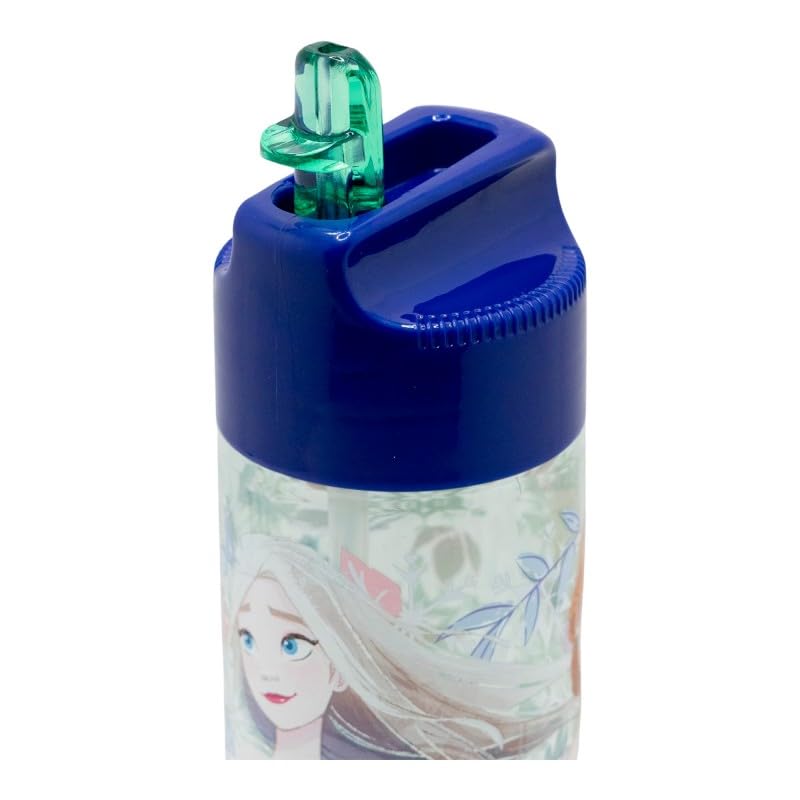 Image of STRIDERS LARGE ECOZEN BOTTLE FROZEN SHOWY TALE 540 ML