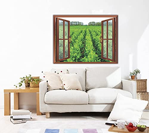 Image of CVANU Beautiful View Fresh Green Leafy Plants Radiant with Sunshine with Blue Sky Filled with Bunch of White Clouds Removable Faux Window Wall Sticker /Decals for Living Room etc Cv 41