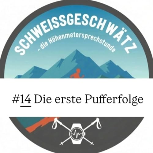 #14 Die erste Pufferfolge