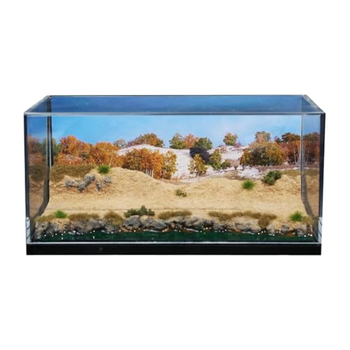 Escena desierto 1/64 con vitrina acrílica para diorama