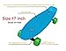 SK8MEMO 17X5inch Kids Skateboard, Mini Skateboard for Beginners (Blue)……