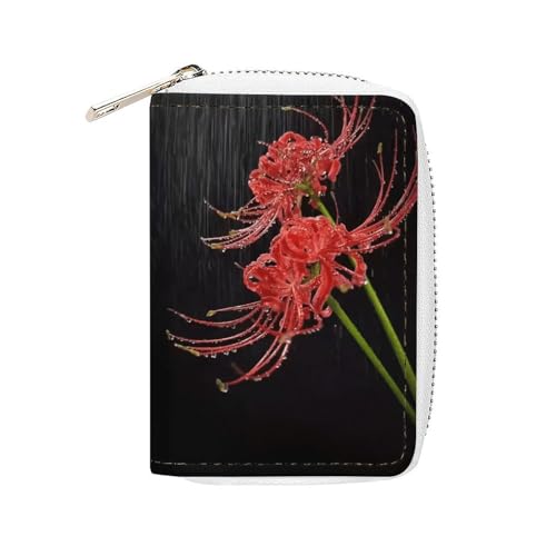 [FoWintea] J[hP[X ފ݉ ԕ J[h Zz NWbgJ[hP[X PUU[ K ~jz ht@C RCP[X J[hz_[ XL~Oh~ e Y fB[X ی/Ƌ/LbVJ[hɑΉ