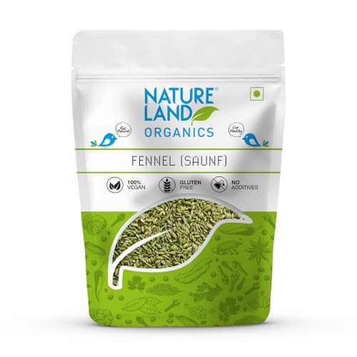 Image of Natureland Organics Fennel (Saunf) 100 gm - Organic Saunf