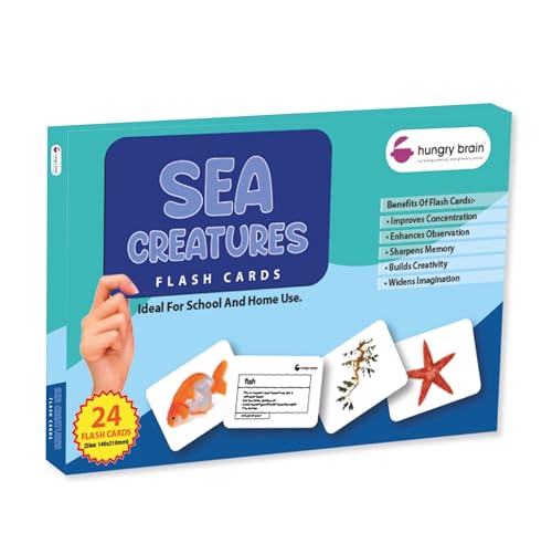 Image of Hungry Brain Sea Creatures Flash Cards for Toddlers & Kids | Montessori Early Learning Cards for Babies | Educational Toy for Ages 3 Months to 6 Years | Fun Preschool Activity & Gift