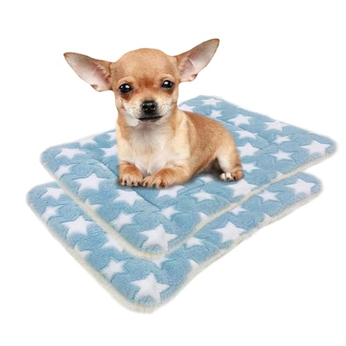 L xbh}bg P[Wp  xbhNbV Lpzc ӂӂ Vv{A^Cv 2Zbg