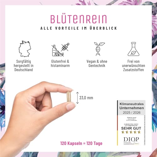 Blütenrein Mariendistel Artischocke Löwenzahn Kapseln - Leber Komplex mit Cholin für die normale Funktion der Leber - Mariendistel Hochdosiert 80% Silymarin 200 mg - 120 Kapseln - 4 fach Komplex