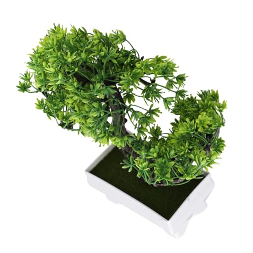Mini piante di pino bonsai compatto per decorare salotti, camere da letto, uffici o aree esterne (verde)