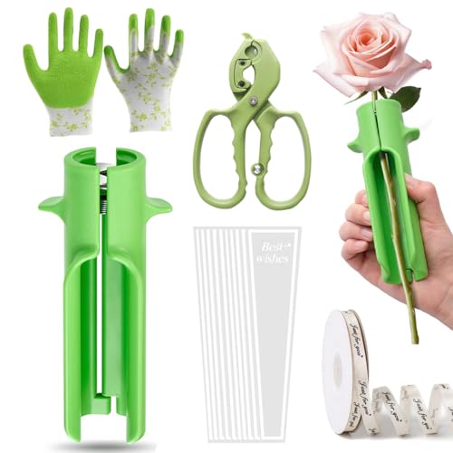 Kit 15 Piezas Para Quitar Espinas de Rosas con Guantes